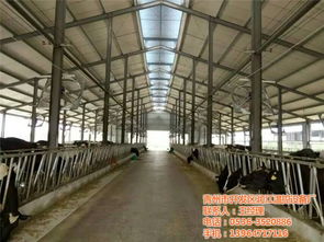 青州市開發區潤江溫控設備廠 一站式畜牧環境溫控解決方案專家